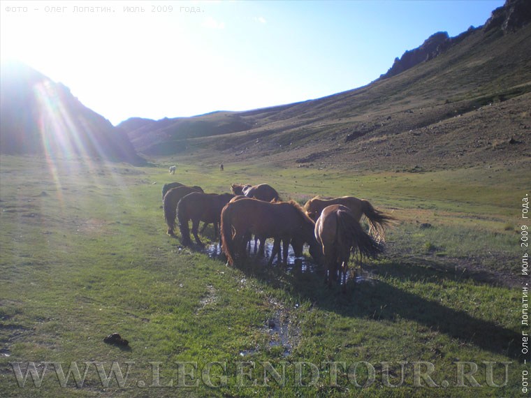 Фотография. Второе открытие Монголии. Фотоотчет о путешествии. Июль 2009 года.