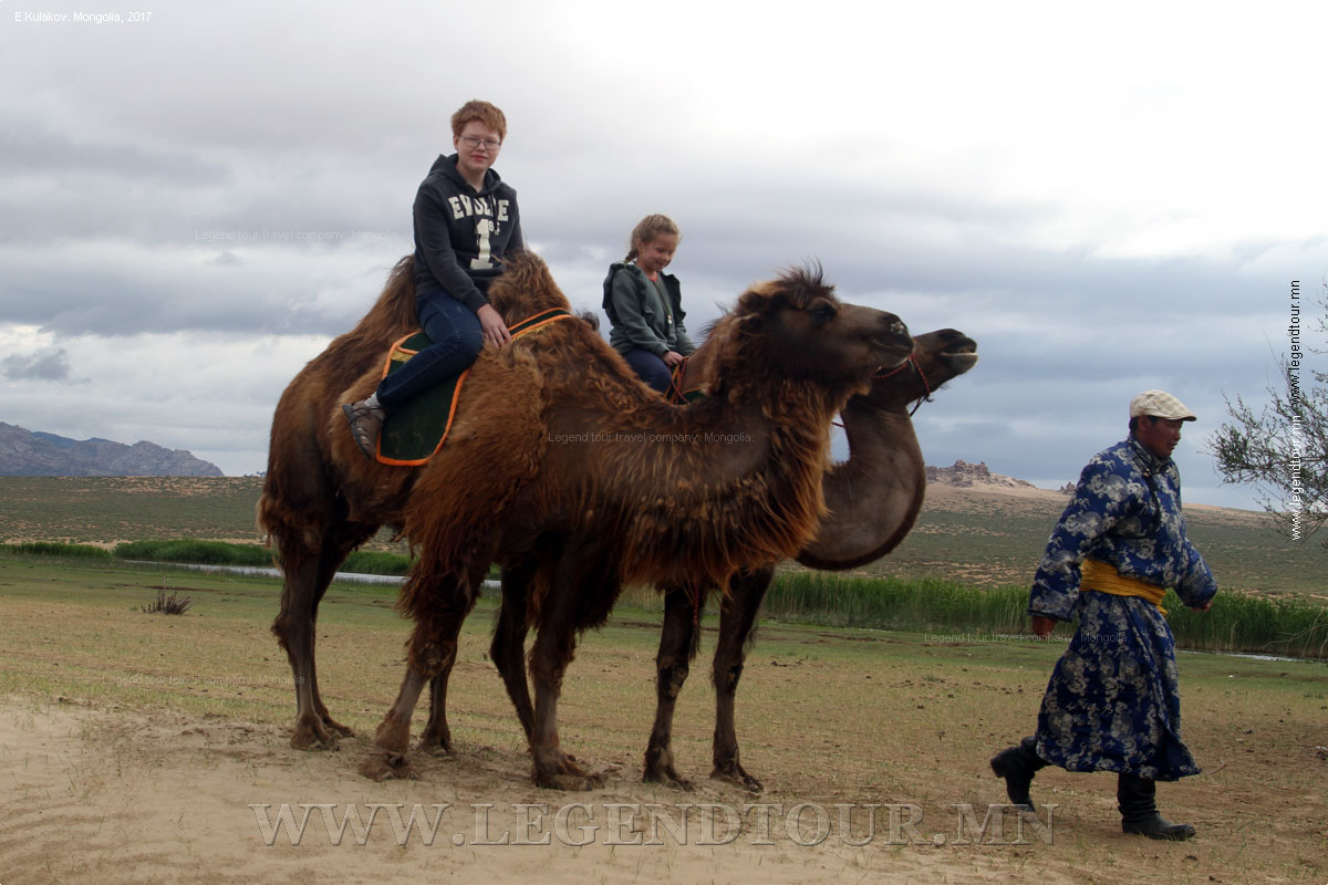 Фотография. Песчаные дюны Элсэн Тасархай(Монгол Элс, Баян Гоби). Катание на верблюдах. Булганский аймак Монголии.