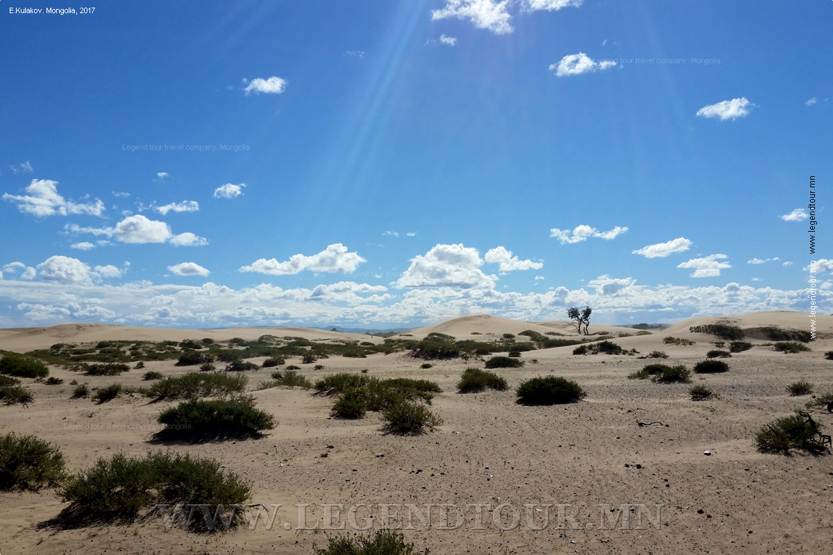 Фотография. Песчаные дюны Элсэн Тасархай(Монгол Элс, Баян Гоби). Булганский аймак Монголии.