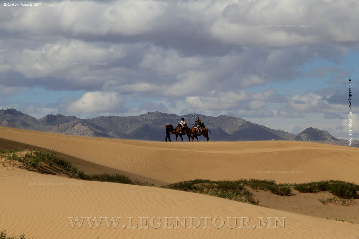 Фотография. Песчаные дюны Элсэн Тасархай(Монгол Элс, Баян Гоби). Катание на верблюдах. Булганский аймак Монголии.