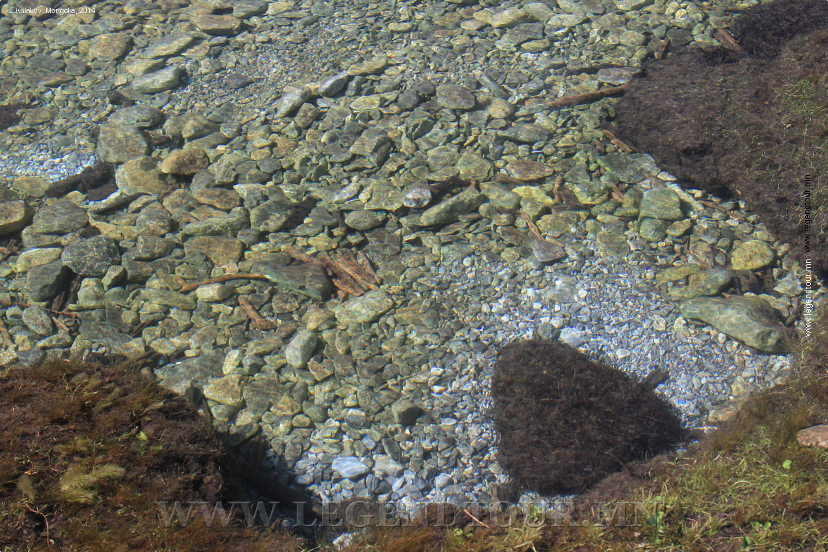 Фотография. Прозрачная вода озера Хубсугул.