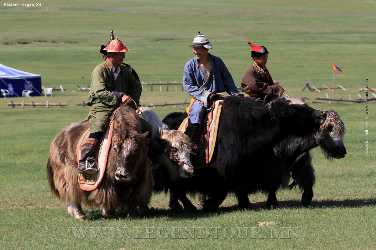 Фотография. Монголия. Номадик шоу.