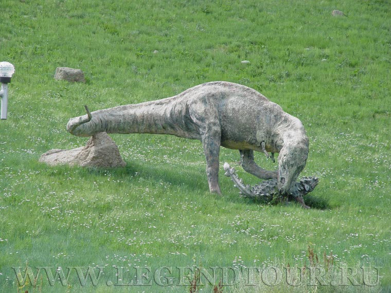 Фотография. Парк динозавров. Национальный парк Горхи Тэрэлж.