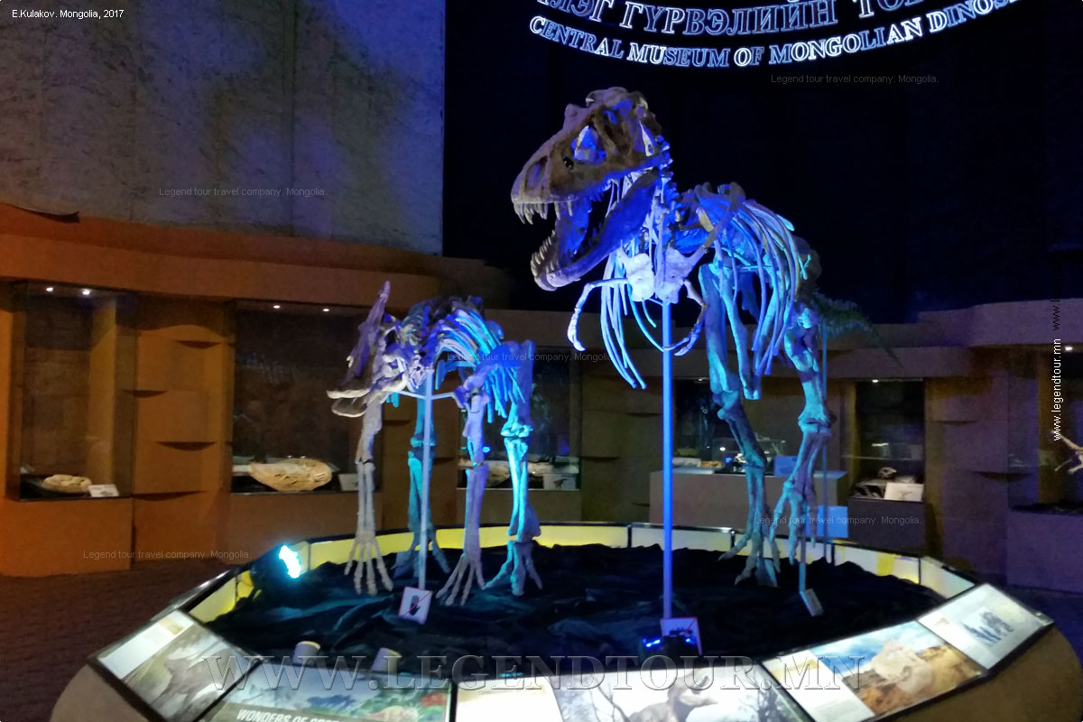 Фотография. Центральный музей динозавров. Улан-Батор, Монголии. Фото Е.Кулакова, 2017 год.