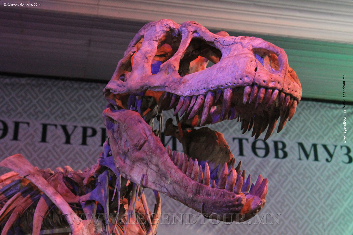 Фотография. Центральный музей динозавров. Улан-Батор, Монголии. Фото Е.Кулакова, 2014 год.