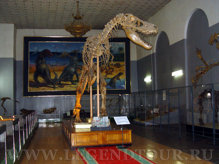 Photo. Mongolian Natural History Museum. Ulaanbaatar.