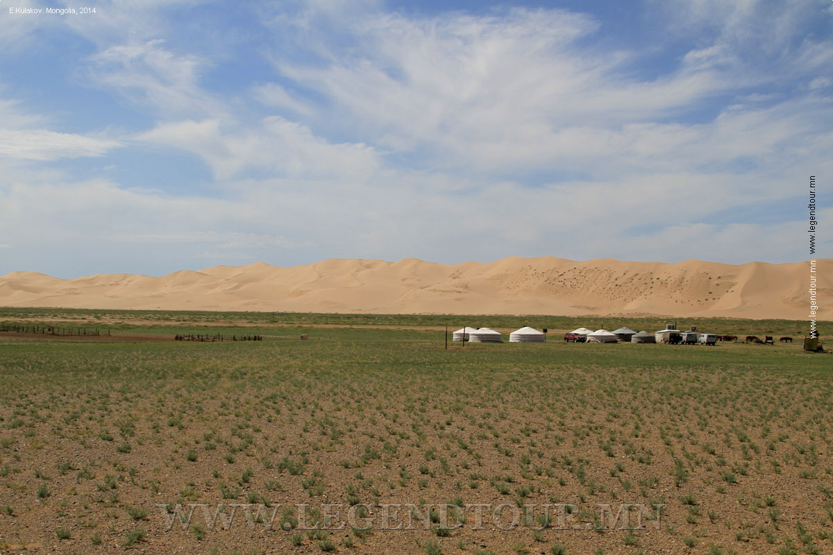 Фотография. Песчаные дюны Хонгорын элс. Южное Гоби.