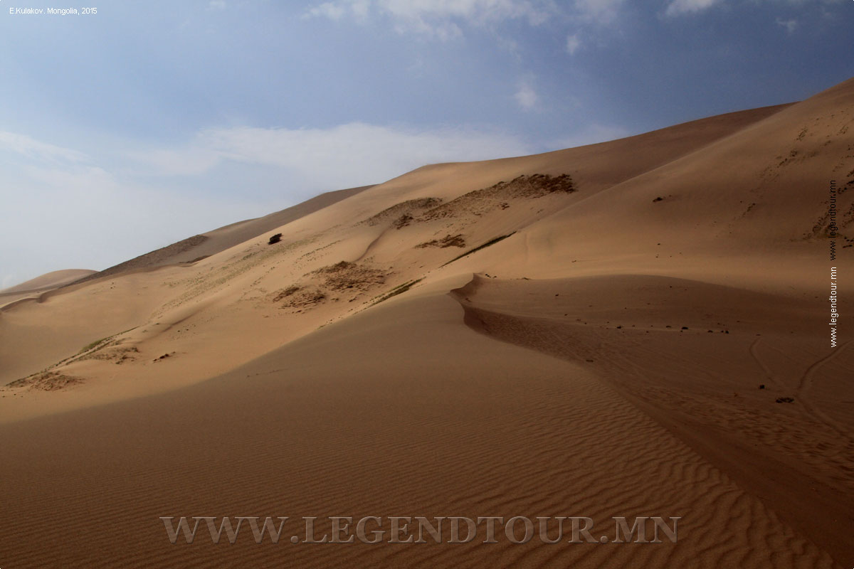 Фотография. Песчаные дюны Хонгорын элс. Южное Гоби. 2015 год.